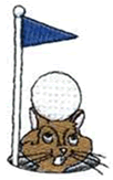 NWSCT Golf Classic